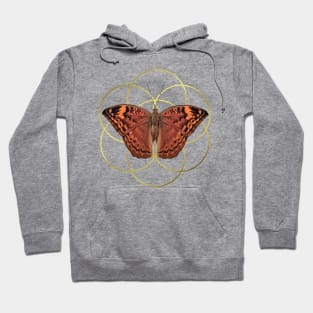 Butterfly with graphic - Insect in Kenya / Africa Hoodie